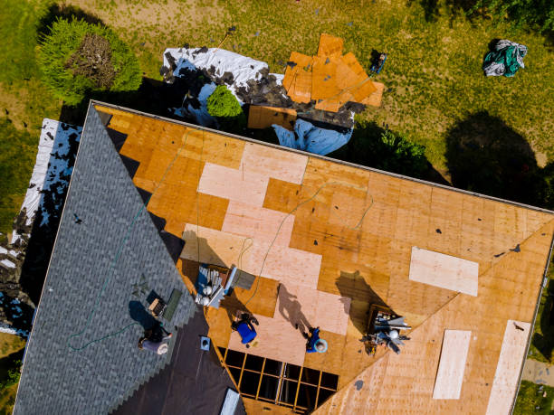 Roof Gutter Cleaning in Centerville, CA